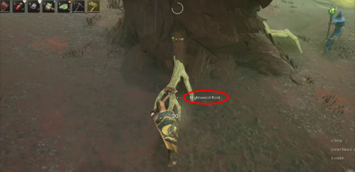 RuneScape Dragonwilds Guide Where to Find Blightwood