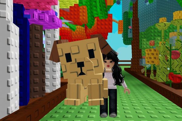 Grow a Garden Pets Tier List
