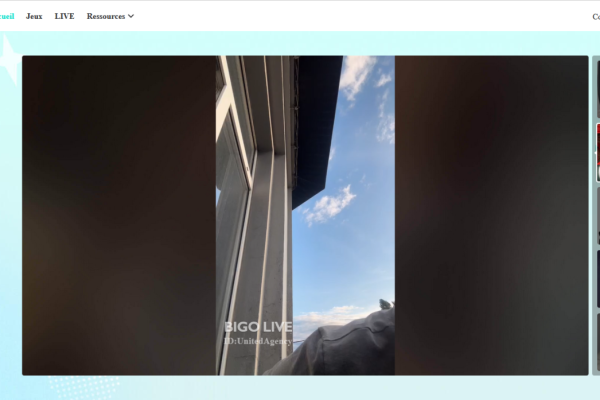 Comment réussir sur Bigo Live en 2025