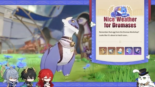 Nice Weather for Dromases Hidden Interactions