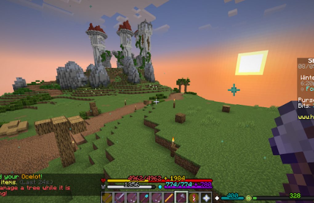Hypixel SkyBlock Update